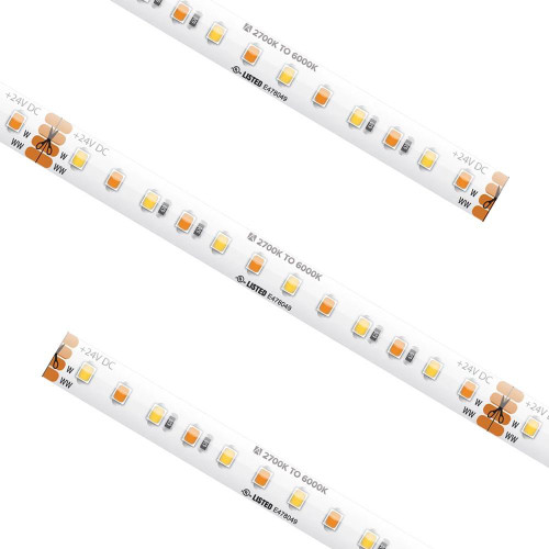 24V High Output LED Tape Light w/ Dynamic White Color Tuning, 13.1FT Reel, Dimmable Spec-Grade Strip Lighting, 7 Watts & 510 Lumens Per-Foot, cULus Listed, Cuttable Every 3.94" - TPL-AML-SPTL-TW1