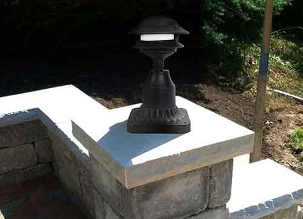 Shown in Black