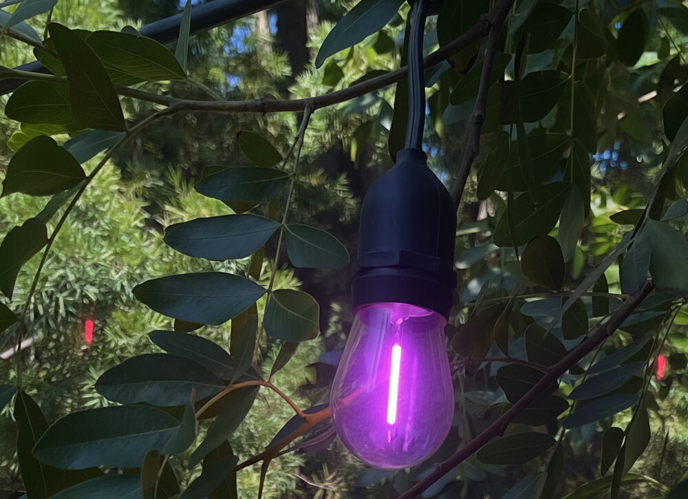 Outdoor Patio String Lights Main View