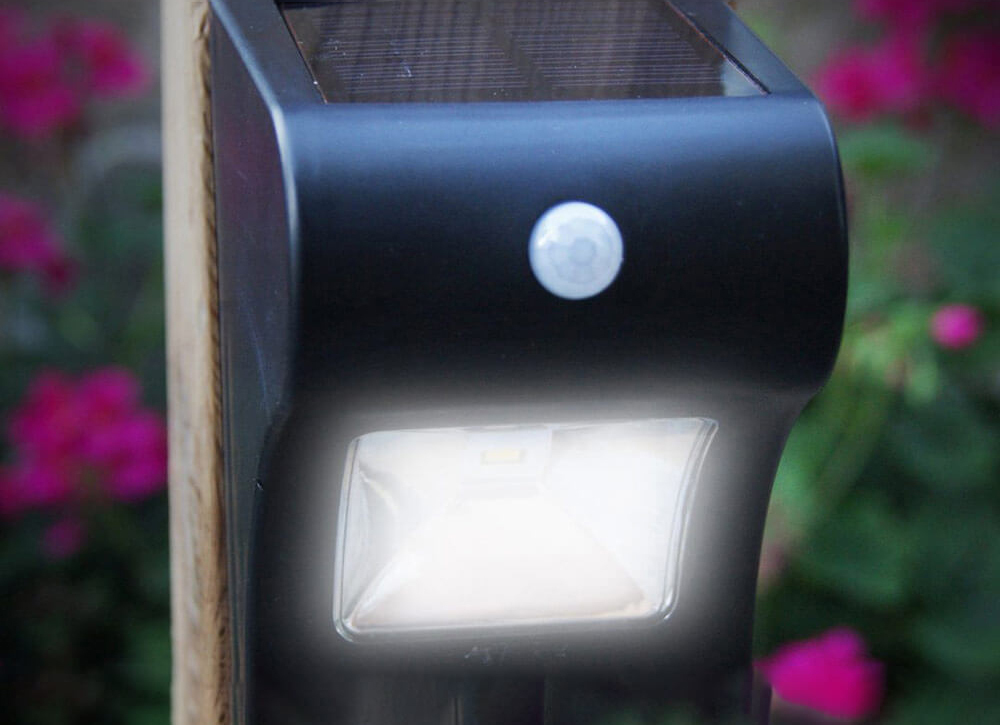 Deck Light Main View