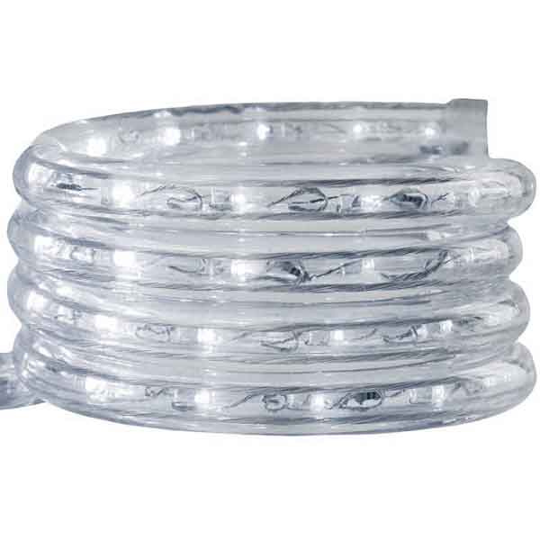 Illuminated Coil
