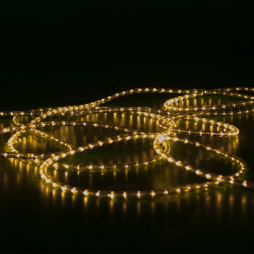 Warm White Rope Light In Scene 2