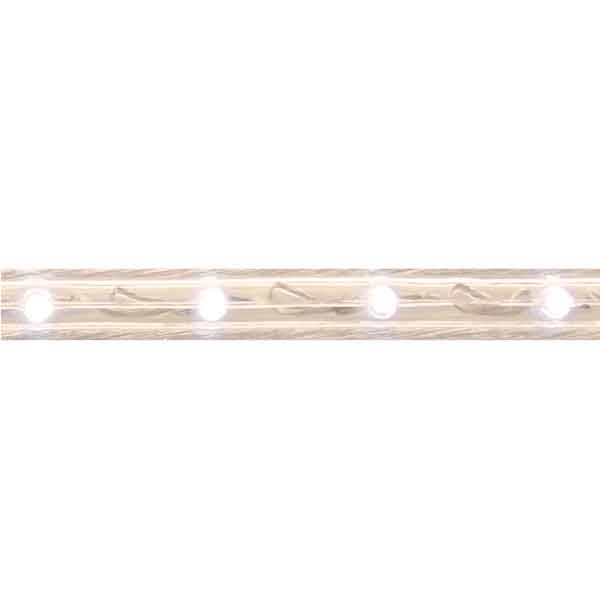 White Diode Close Up