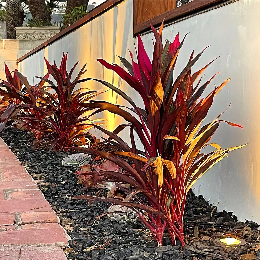 Brass Composite In-Ground Well Light Walkway Outdoor Shot