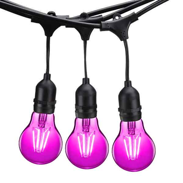 Shown with Pink Bulbs