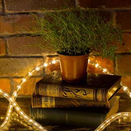 Rope Light in Home Setting