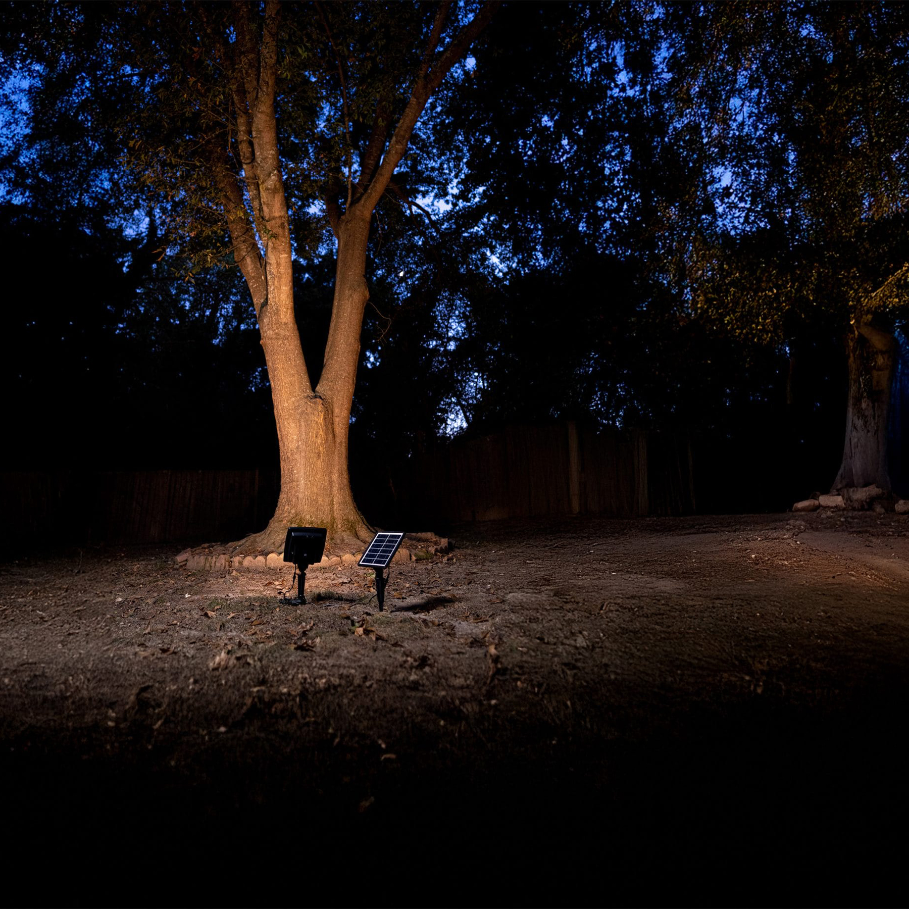 Pro-Dual Color Solar Flood Light