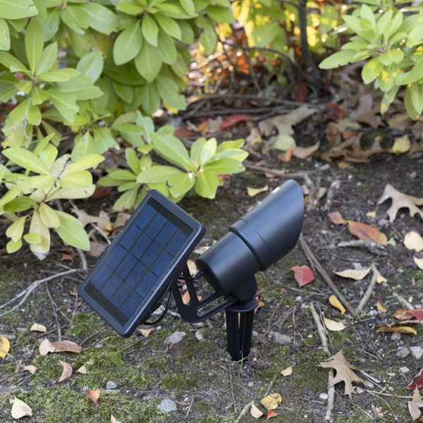 Tri-Color Progressive Outdoor Solar LED Spotlight