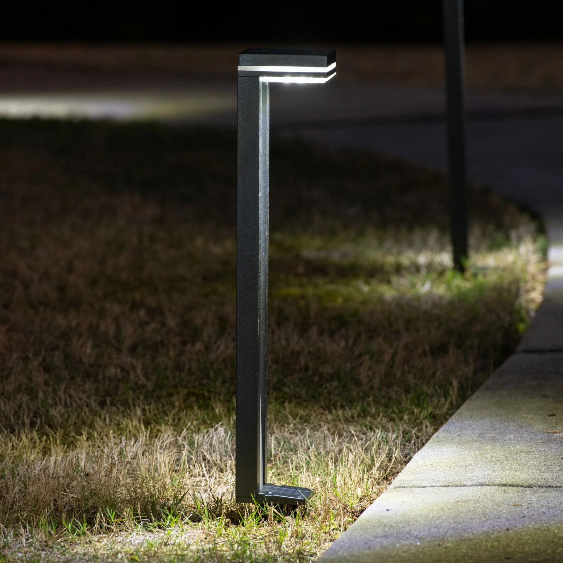 Sentry Modern Solar Landscape and Pathway Light (2 PK)