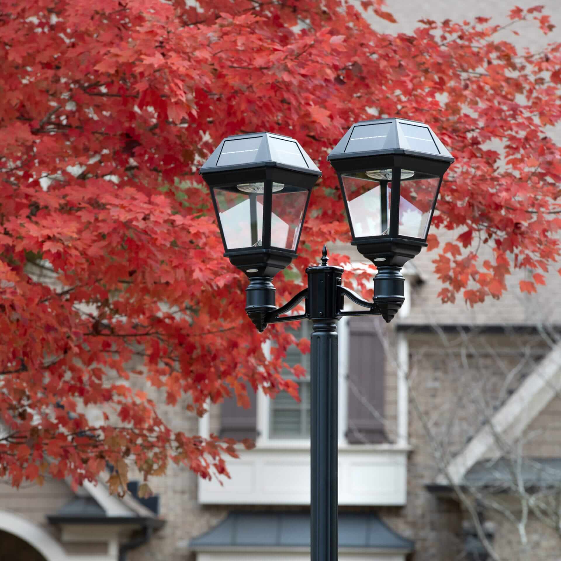 Imperial III Commercial Solar Double Post Light with Dual Color Temperature and 3″ Fitter