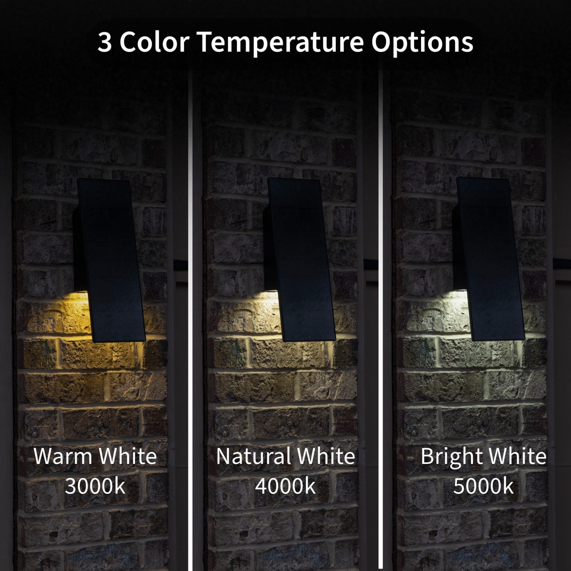 Eclipse Downlight