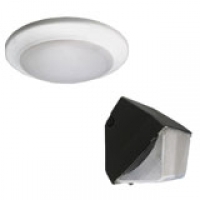 Wall & Ceiling Lights