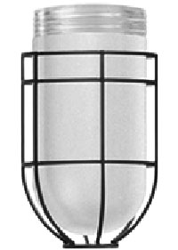 wire-guard-with-frosted-glass-jar.jpg