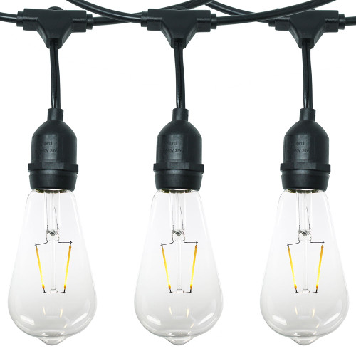 Led String Patio Light W Giant Globe Bulb Aqlighting