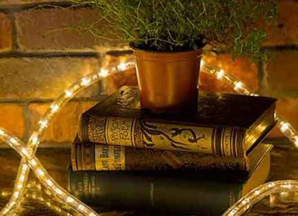 Warm white rope light glowing behind books on a shelf