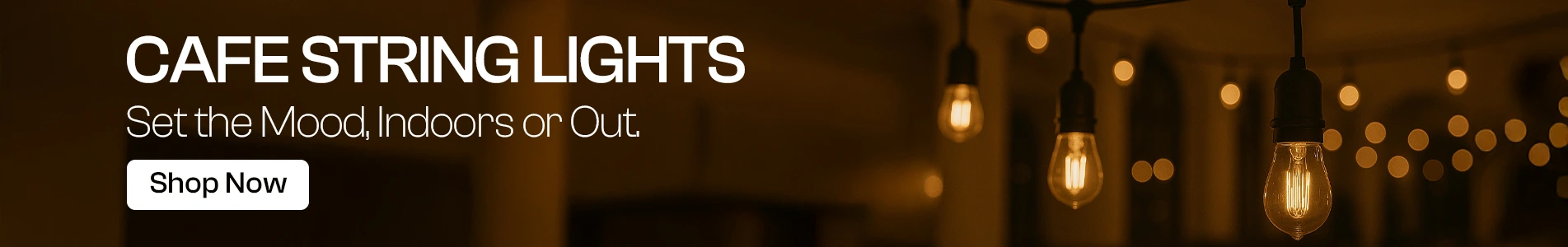 banner3