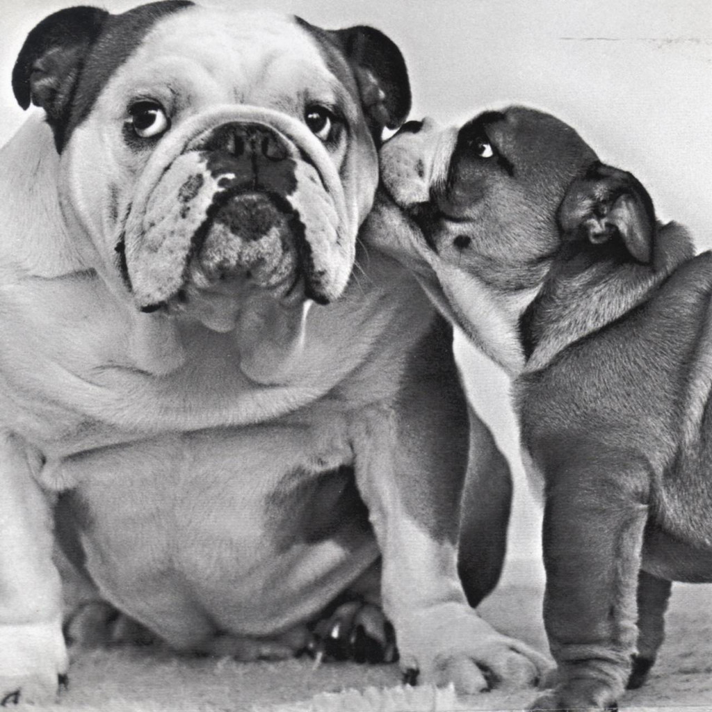 Guess What? quirky funny photographic greeting card