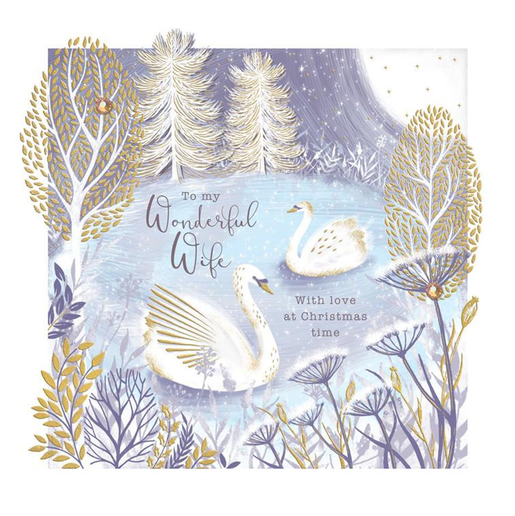 My Wonderful Wife Christmas Card cute christmas card