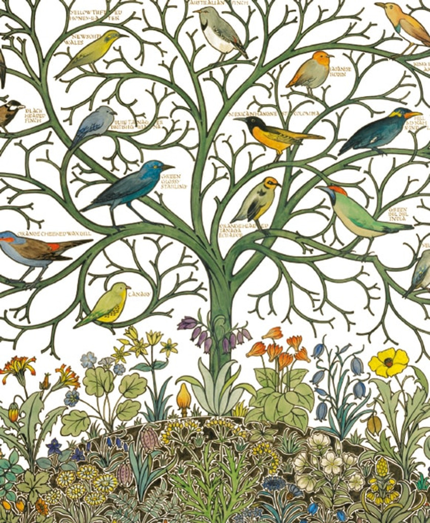 Birds of Many Climes | V&A | Museum & Galleries
