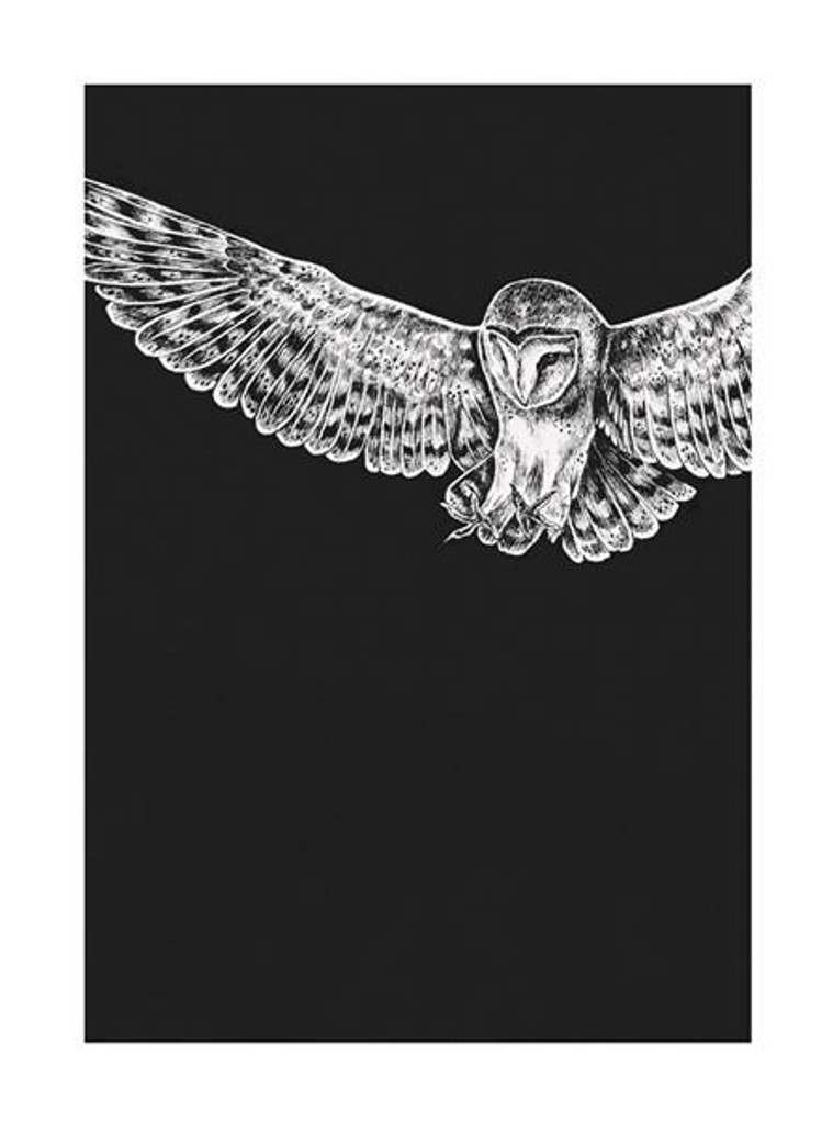Art Card beautiful monochrome illustration of a Barn Owl