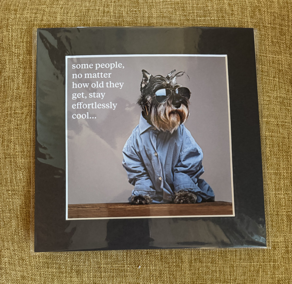 effortlessly cool mounted card