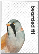 Bearded Tit quirky birthday card