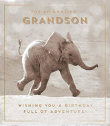 Amazing Grandson grandson quirky cute cool funny birthday card
