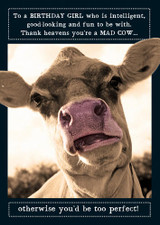 Animal Antics greeting card
