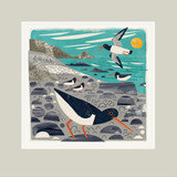 blank beautiful fine art greetings cards Oyster Catchers