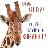 How Old?! quirky funny birthday card