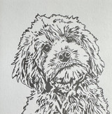 cockapoo animal art greeting card