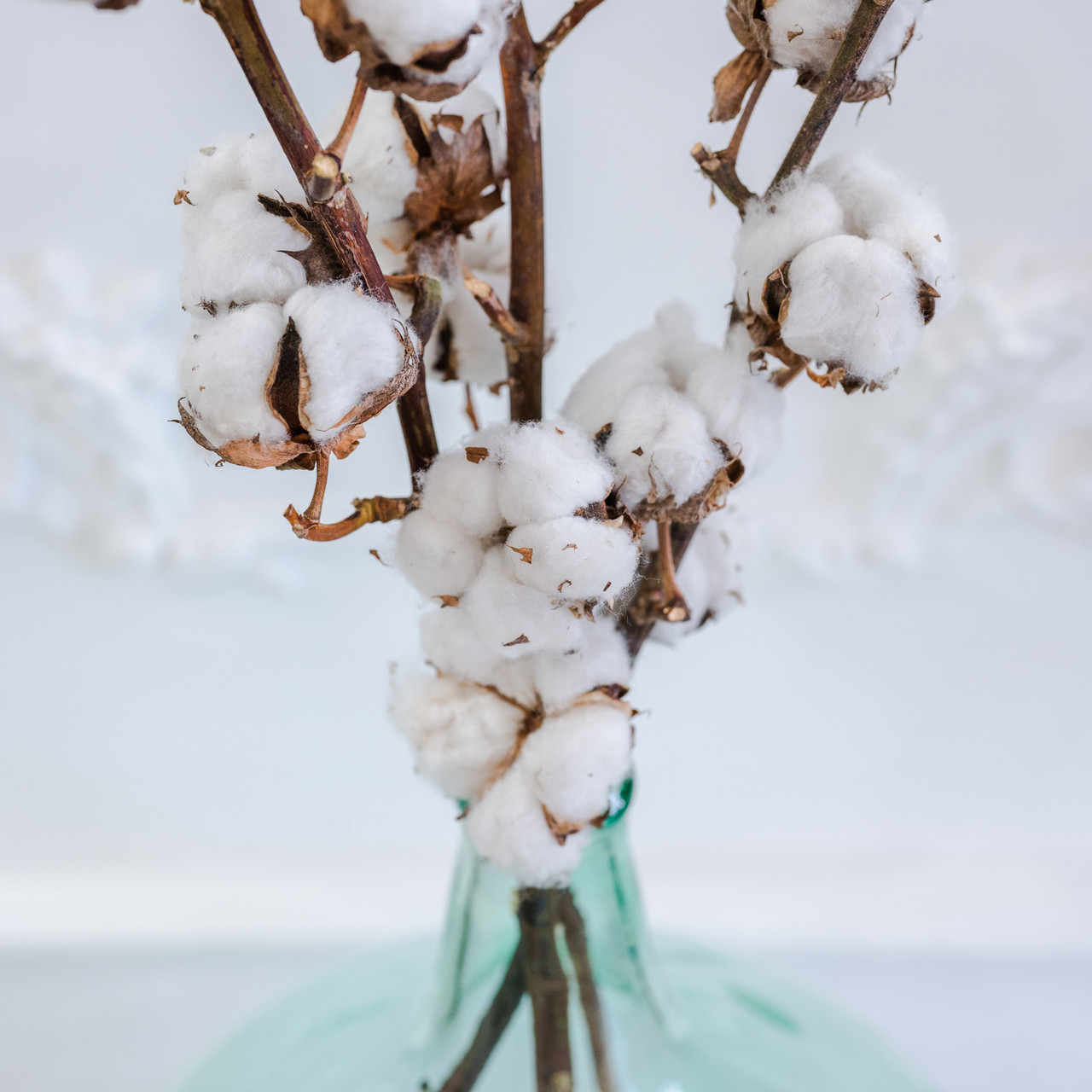Blush! Livraison de bottes de fleurs séchées - Fleurs de coton
