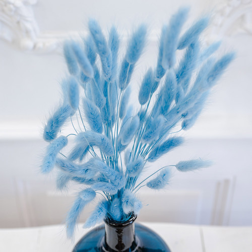 Botte de fleurs séchées lagurus bleu pâle