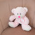 Ours en peluche rose