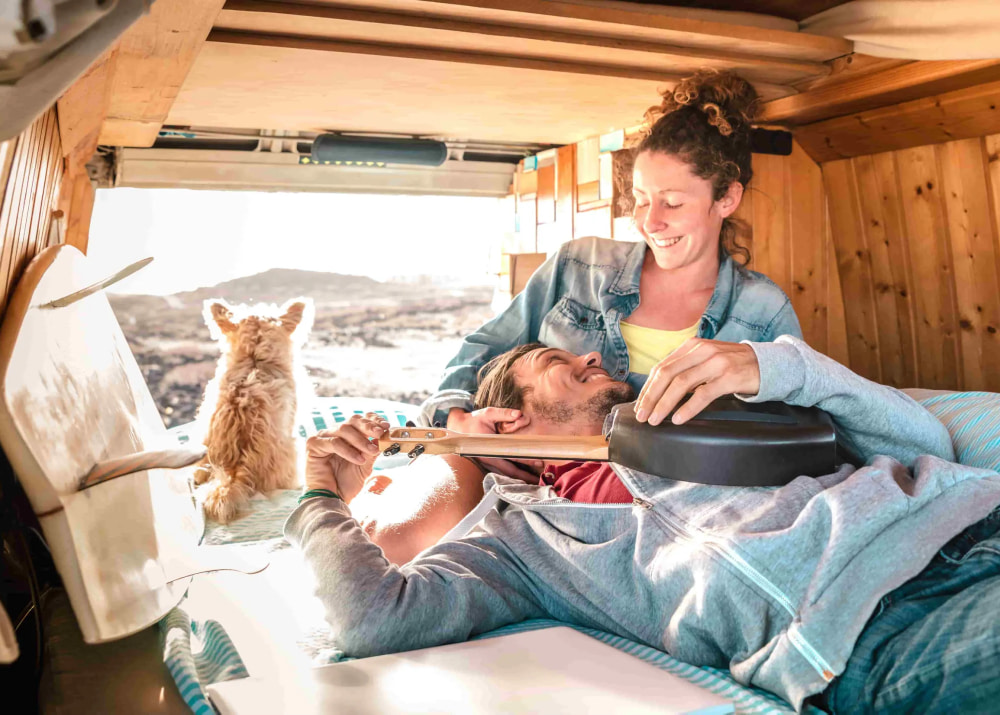 VanLife Dog is Their Co-pilot, Literally · The Wildest