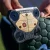Odyssey TRTL Double Bend Putter | New 2027 
