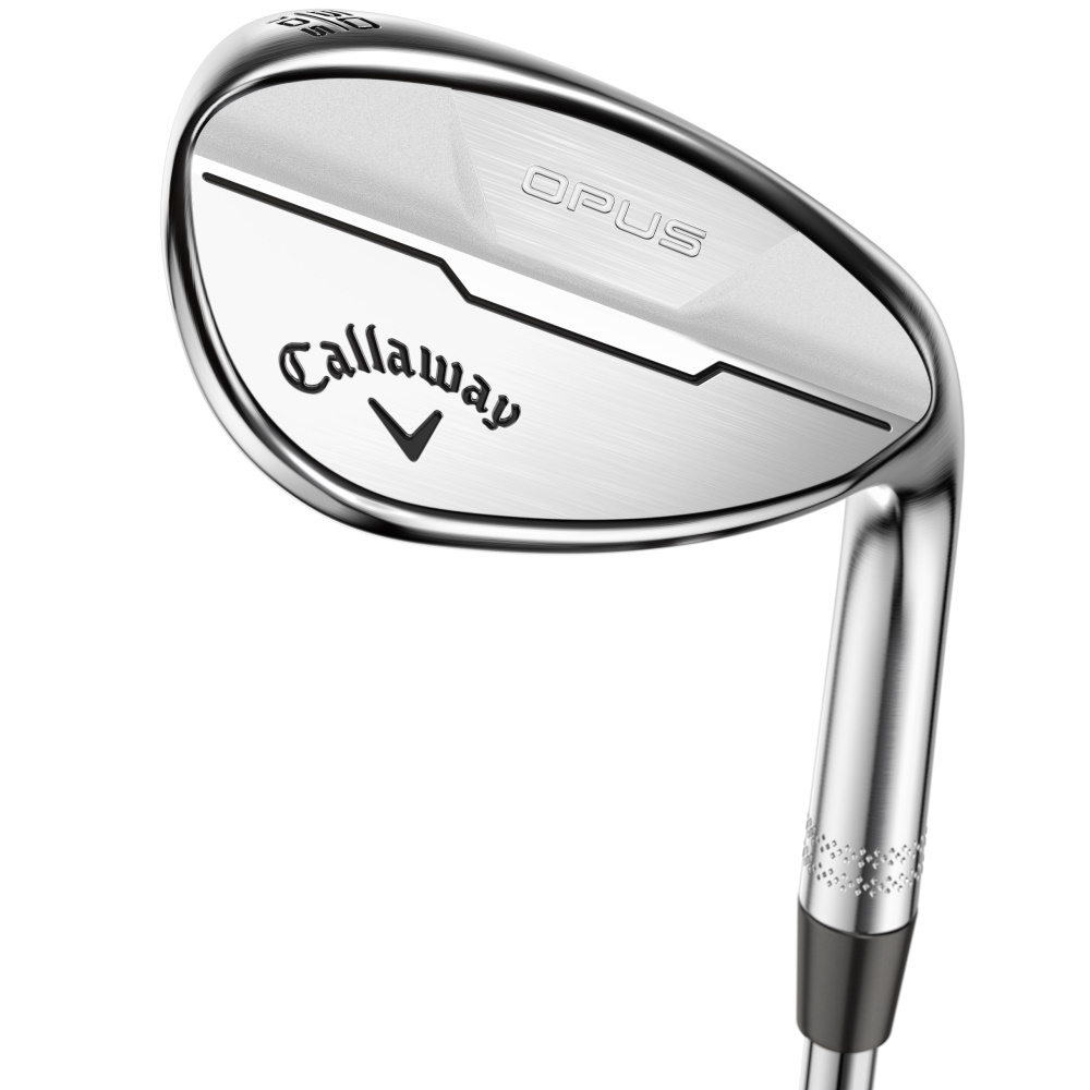 WACCINE compo. TS-31 Wedge 52°、58° 2本セット Waccine Compo TS-31 Wedge