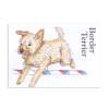 Hunkydory It's A Dogs Life Clear Stamps - Border Terrier