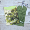 Simply Defined OCT 2022 Release Stamp Only - Shifting Sunlight, Lavender Hills