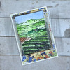 Simply Defined OCT 2022 Release Stamp Only - Shifting Sunlight, Lavender Hills