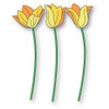Memory Box Poppystamps Dies - Layered Tulips Memory Box Poppystamps Dies - Layered Tulips
