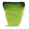 Royal Talens Van Gogh Watercolor Half Pan - Sap Green Royal Talens Van Gogh Watercolor Half Pan - Sap Green