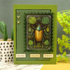 Hunkydory Pocket Pads - Garden Visitors Hunkydory Pocket Pads - Garden Visitors