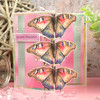 Hunkydory Pocket Pads - Garden Visitors Hunkydory Pocket Pads - Garden Visitors