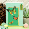 Hunkydory Crafts Delightful Die-Cuts - Butterfly Brilliance