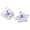 Memory Box Dies - Gladiola Floral Duo Memory Box Dies - Gladiola Floral Duo