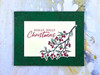 Hero Arts Stamps & Dies Combo - Color Layering Holly Branch