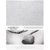 Harmony by Nicole Craft Diamond Chic Glitter 8.5X11in Cardstock, 20/Pkg - Platinum