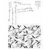 Sizzix A5 Clear Stamps 8PK with Framelits Dies by Stacey Park - Creative Coordinations, Wall Flower Sizzix A5 Clear Stamps 8PK with Framelits Dies by Stacey Park - Creative Coordinations, Wall Flower