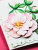Memory Box Dies - Delightful Peony Blossom Memory Box Dies - Delightful Peony Blossom